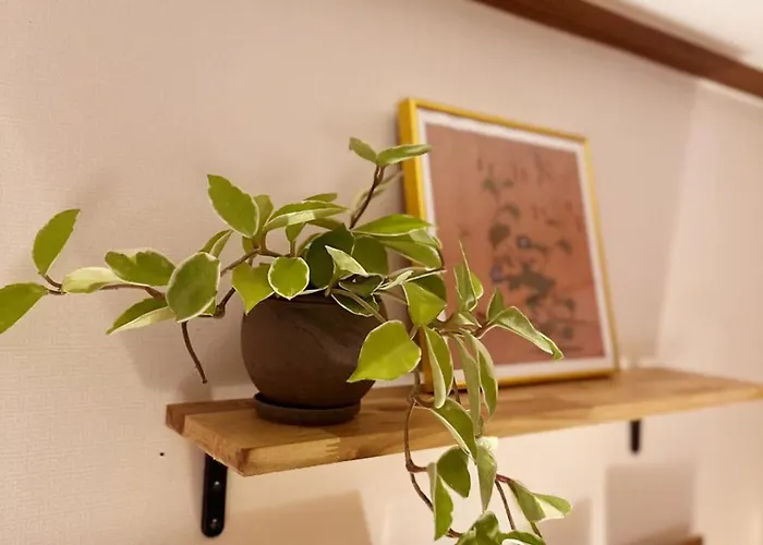 Appartement 3br Rooftop Near Seongsu & Konkuk Seoel
